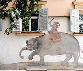 Hotel 4 stelle in Bressanone Val d'Isarco - Elephant-Elefante