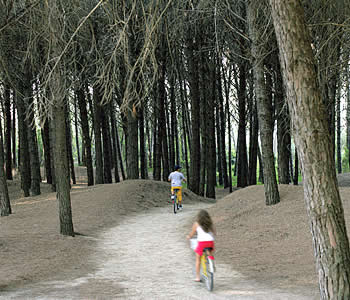 Hotel 4 stelle in Capaccio Cilento - Oleandri Resort Hotel Residence Villaggio Club