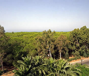 Hotel 4 stelle in Capaccio Cilento - Le Palme