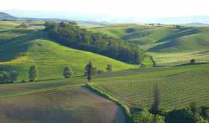 Bed and breakfast in Castelnuovo Berardenga Castelnuovo Berardenga - Borgo Casato