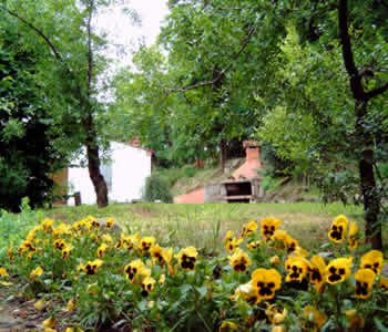 Bed and breakfast 3 stelle in Cinto Euganeo Dintorni di Padova - HomeLifeBed