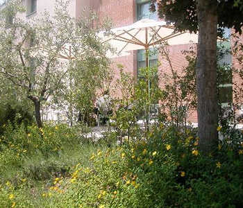 Hotel 3 stelle in Lucca Est - San Marco