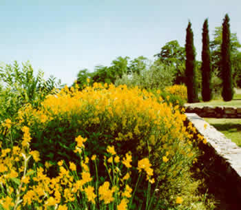 Appartamenti-ville in affitto in Poggibonsi Poggibonsi - Casale di Villore