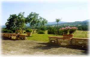 Bed and breakfast in Reggello Reggello - Villa Solaria