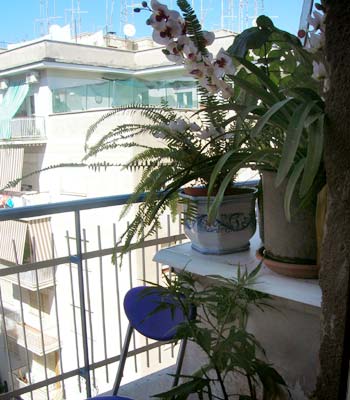 Bed and breakfast in Roma Aurelio e Monteverde - Abruzzese