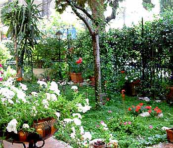 Bed and breakfast  in Roma Prati - A Casa di Patrizia