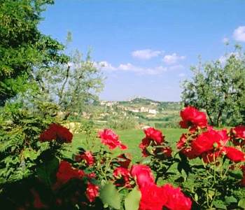 Affitta camere in San Gimignano Val d'Elsa ed Empolese - Poggetto di Montese