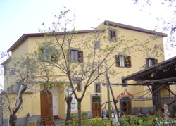 Hotel 0 stelle in Sorrento Piano di Sorrento - Agriturismo - B&B -  Piccolo Paradiso 