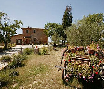 Farm Home in Siena Fuori le mura - Il Lucherino