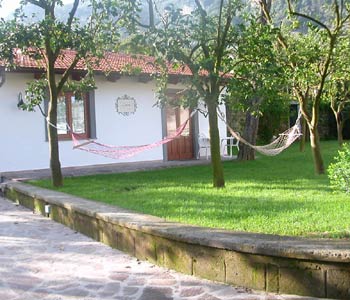 Appartamenti-ville in affitto in Sorrento Centro Storico - Appartamento Sorrento Holidays (B218)