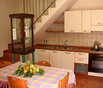 Appartamenti-ville in affitto in Sorrento Centro Storico - Appartamento Sorrento Holidays (T317)