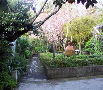 Bed and breakfast in Sorrento Meta - La Gallina Felice