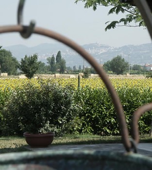 Bed and breakfast in Spello Dintorni di Assisi - Le Ghiande