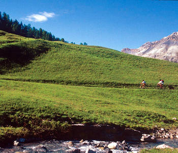 Hotel 3 stelle in Valdidentro Alta Valtellina - Del Cardo