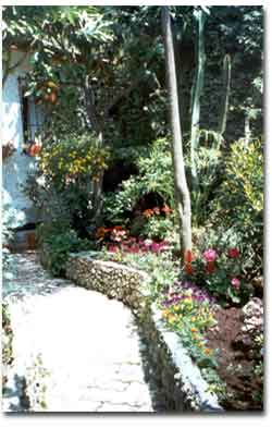 Bed and breakfast 3 stelle in Ventimiglia Riviera dei Fiori - Le Mimose