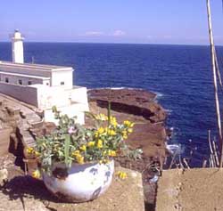 Hotel 3 stelle in Ventotene Ventotene - Calabattaglia
