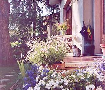 Bed and breakfast in Viareggio Dintorni di Lucca - La Casa nei Pini