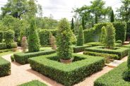 siepe giardino