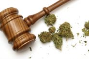 Cannabis legale