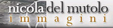 fotografia