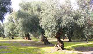 turismo salento