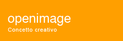 adesivi per auto, realizzazione adesivi, decorazioni automezzi